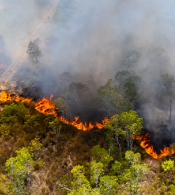 overviewSmoke